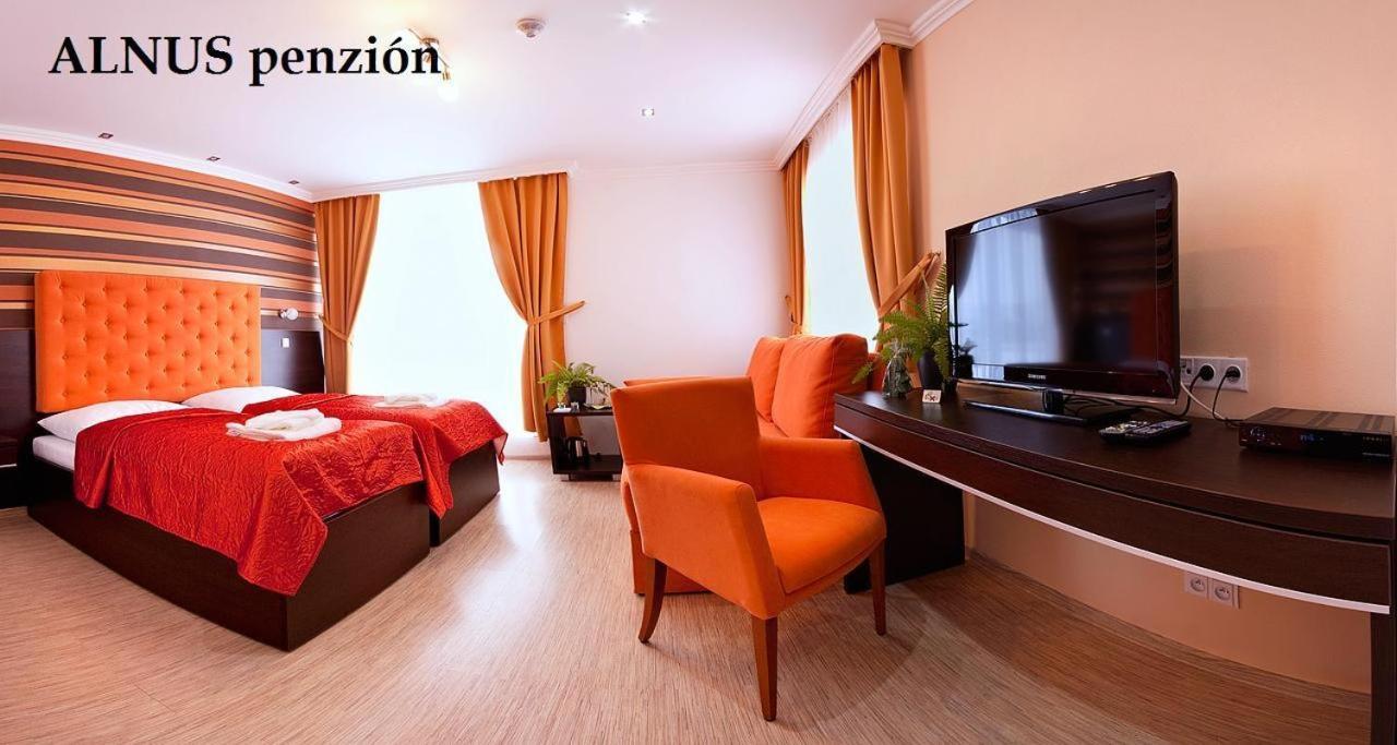 Alnus Penzion Smilno Oda fotoğraf